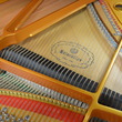 Ritmüller grand piano - Grand Pianos